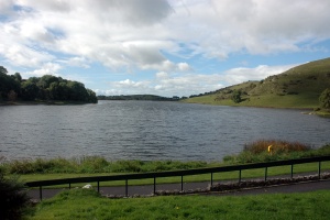 Lough Gur