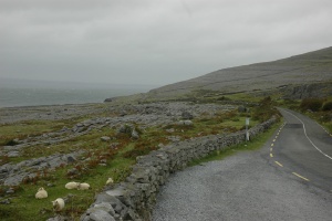 Burrenr